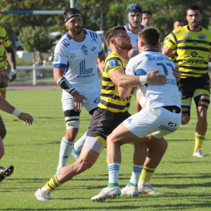 Image de Match Amical face à Colomiers | 16/08