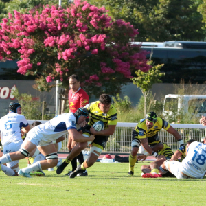 Image de Match Amical face à Colomiers | 16/08