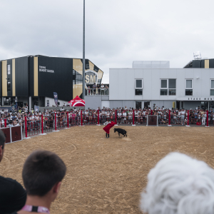 Image de In Extenso Supersevens 2024 | Étape 1 Mont de Marsan