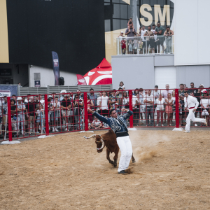 Image de In Extenso Supersevens 2024 | Étape 1 Mont de Marsan